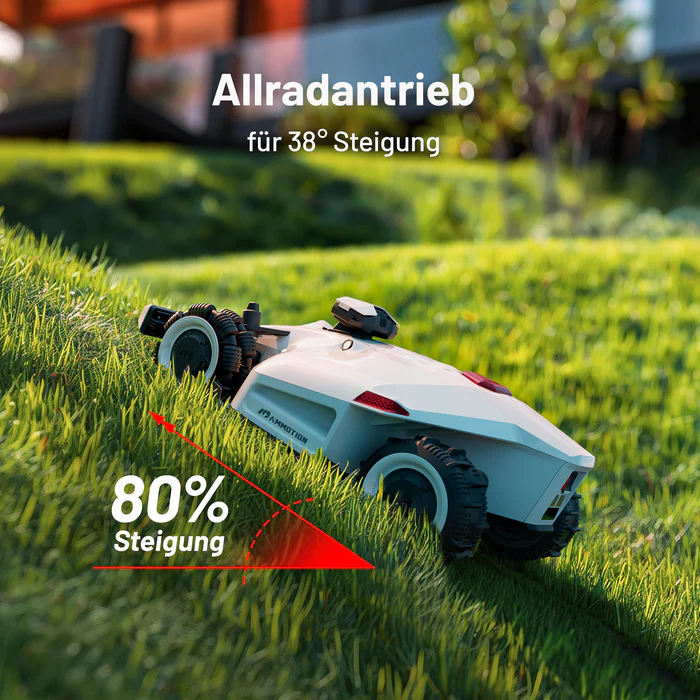 DE_22539ef7-59c6-4fae-996f-8fd1c3458da8.webp